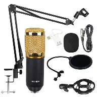 Professional Condenser Mic 1